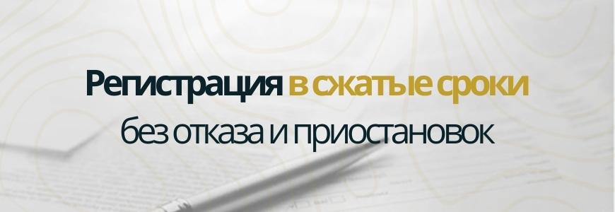 Регистрация в сжатые сроки под ключ в селе Александровка